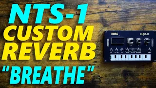 Awesome NTS-1 Custom Reverb!
