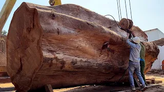 How Does The World's Largest Woodworking/Sawmill Factory Work?
