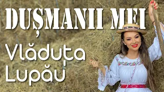 Vladuta Lupau - Dusmanii mei -  Colaj etno