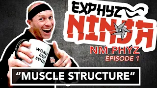 Neuromuscular Physiology: Episode 1 "Muscle Structure"