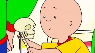 Caillou en Español - Caillou Aprende Ciencia | Dibujos Animados Capítulos Completos  Compilacion