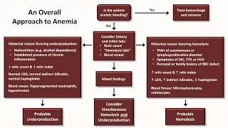 Anemia: Lesson 5 - An Approach to Diagnosis