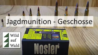 🦌 Munition #4: Geschosse von Büchsen