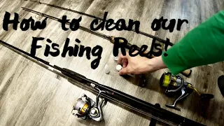 Fishing Reel: oiling and cleaning