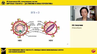 Сессия-5 «Лабораторная диагностика вирусных гепатитов»