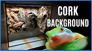 Building a Vivarium Background - NO FOAM, ALL CORK! Vivarium Build | Big Bioactive Vivarium Build #1