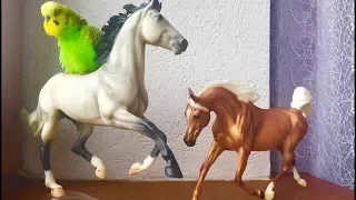 ЛОШАДИ БРЕЕР/ПОПУГАЙ ВЛЮБИЛСЯ В ЛОШАДЬ БРЕЕР- БРЕЙЕР?Unboxing HORSES BREYER/распаковка БРЕЕРЫ-БРЕЙЕР