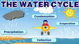 The Water Cycle: Collection, Condensation, Precipitation, Evaporation, Learning Videos For Children