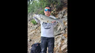 Bank fishing for stripers on the Sacramento River using jerkbaits