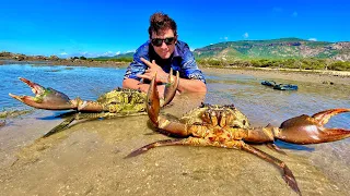 Catching GIANT MUDCRABS With My Barehands on Remote Beach  (CATCH & COOK).