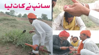 Cobra snake bites the jogi, trying to catch for the protection of farmers | naag jogi | Holistic100