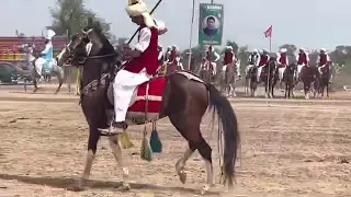 Amir sohail lak . Best rider in Punjab .ghora jalwa . Best dasi horse