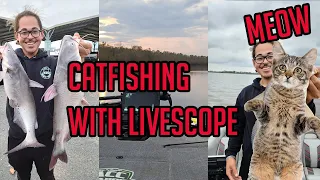 How To Catch Catfish With Garmin Livescope Using Live Bait (Shad)