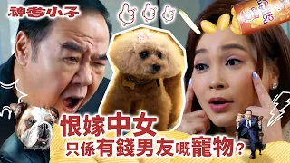 神耆小子｜恨嫁中女 只係有錢男友嘅寵物？(Eng／繁／簡字幕)｜鄭則士｜蕭正楠｜Archie冼靖峰｜樊亦敏｜傅嘉莉｜曹永廉｜羅毓儀｜第一集劇情｜劇集精華｜溫情喜劇｜TVB港劇推薦