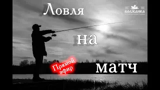 Матчевая ловля. Все о "А" до "Я" в прямом эфире