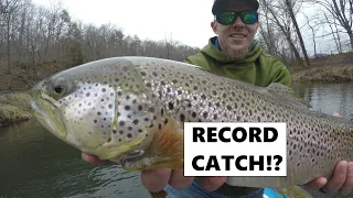 5 BROWN TROUT for 115+"-  Dream Catcher Guides Tuckasegee River