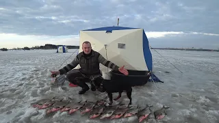 ТАКИХ ЛАПТЕЙ  Я НЕ ОЖИДАЛ!!! ДВОЕ СУТОК ЖИВУ на ЛЬДИНЕ. ЗИМНИЙ НОЧНОЙ ЛЕЩ.