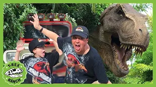 Giant Life Size Dinosaurs! Jurassic Adventure | T-Rex Ranch Dinosaur Videos