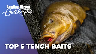 Top 5 Tench Baits - Coarse Fishing Quickbite