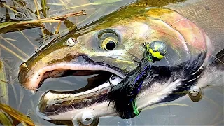 WINTER Salmon Fishing | Jigging for Coho | Washington 4K
