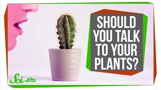 Should You Talk to Your Plants to Help Them Grow?