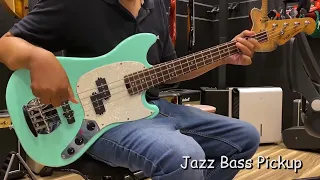 SQOE SPJ400 Short Scale Bass Roasted Maple Series Quick Demo and Sound Preview : BEST budget PJ bass