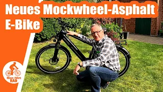 Mein neues Mokwheel Asphalt E-Bike - Ich bin begeistert