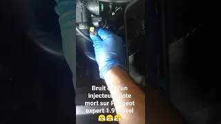 bruit claquement d'un  injecteur pilote sur un Peugeot expert 2004 1.9 diesel (gazole)