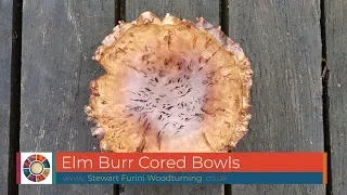 Elm Burr Cores