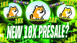 WHY I THINK PLAYDOGE HAS POTENTIAL!🚨 (PlayDoge Presale Review)