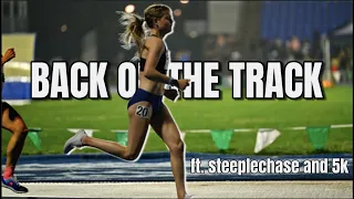PACING PRO TRACK RACES || Trials of Miles Track Night || Steeplechase and 5k