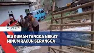 Sering Dianiaya Suami Saat Mabuk, Ibu Rumah Tangga Nekat Minum Racun Serangga