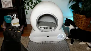 LABOLOW Automatic Litter Box - Unboxing & Review