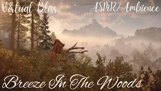 Breeze In The Mountainous Woods Sleepaid/Ambience/ASMR | Night/Day Dynamic