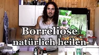 Borreliose natürlich heilen - wie geht es mir nach einem Jahr und was habe ich alles unternommen?