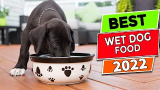 5 Best Wet Dog Food For Sensitive Stomach