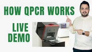 What is the prinicple of working qPCR?