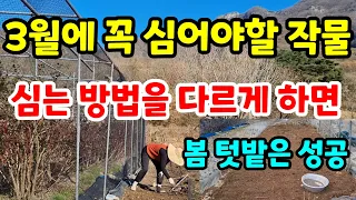 3월에 심는 작물 가장 맛있는 10가지 추천 씨앗 발아 빠르게하기 채소모종쉽게만들기 텃밭퇴비#친환경#주말농장#귀농#귀촌#전원생활#정원#봄나물#봄#건강#힐링#다이어트