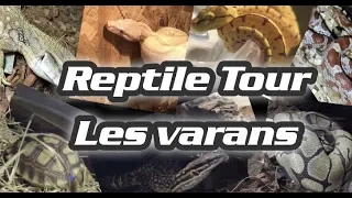 Reptile tour : Les Varans