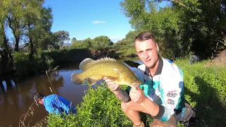 SMALL WATER MURRAY COD - Good to be back