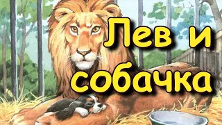 Рассказ "Лев и собачка" Лев Толстой