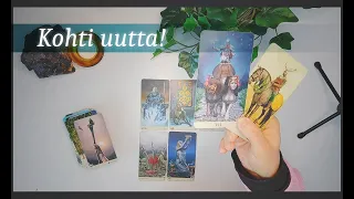 Tarot - Universumin kutsu kolhiintuneista maljoista toiveen täyttymystä kohti ⭐❤️