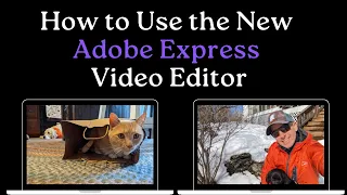 How to Use the Adobe Express Video Editor