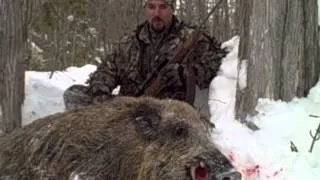 Russian Boar with the 300 Win Mag on the Snow Pack