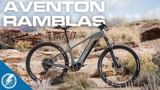 Aventon Ramblas Review | Best Budget EMTB of 2024 ($2,699)