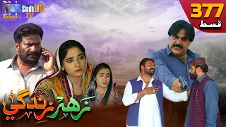 Zahar Zindagi - Ep 377 | Sindh TV Soap Serial | SindhTVHD Drama