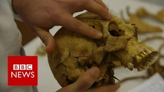 Cyprus: Searching for the dead - BBC News