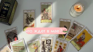 4 королевы🌷месяц май, фон, работа, финансы, любовь💘