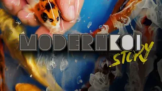 Modern Koi Story 2023 - Selektion April die Erste