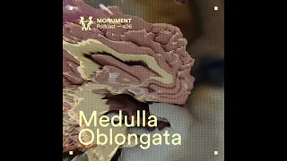 MNMT 406 : Medulla Oblongata